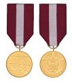Złoty Medal od Prezydenta RP dla naszej koleżanki - pani Elżbiety Kwaśniewskiej, 